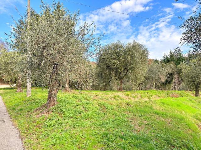 Rustico in vendita a Unione dei comuni Media Valle del Serchio, Pescaglia