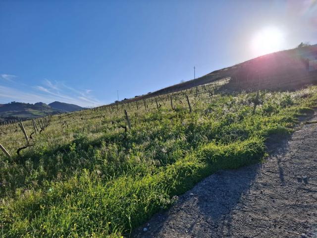 Rustico in vendita a Calatafimi, Sicilia
