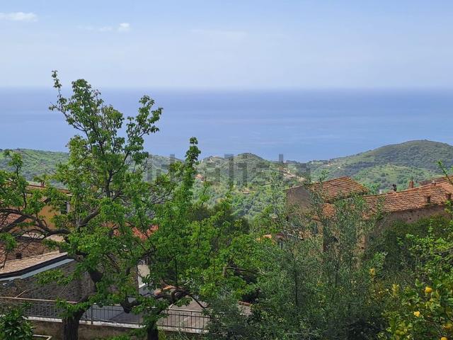 Rustico in vendita a Pollica, Campania