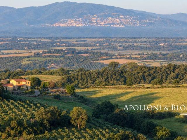 Villa Indipendente in vendita a Preselle, Scansano