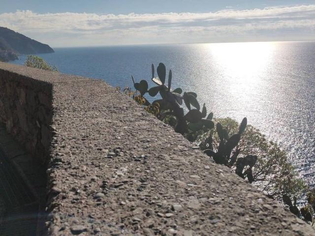 Villa Indipendente in vendita a Vernazza, Liguria