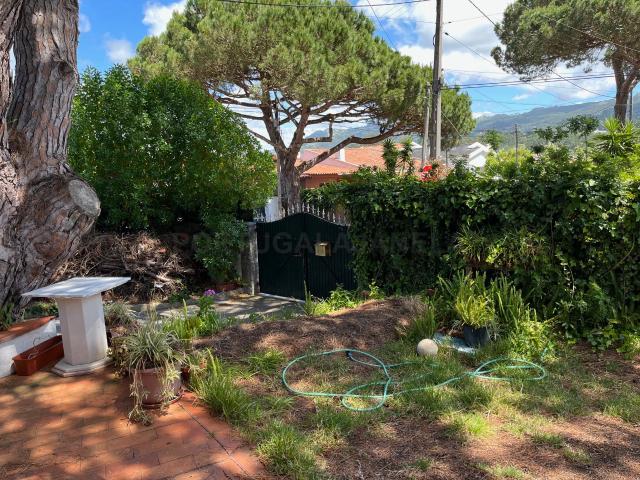 Quarto alugar em Sintra, Lisboa