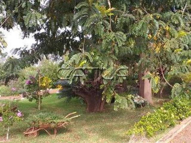 Casa venda em Região Geográfica Imediata de Londrina, Sertanópolis