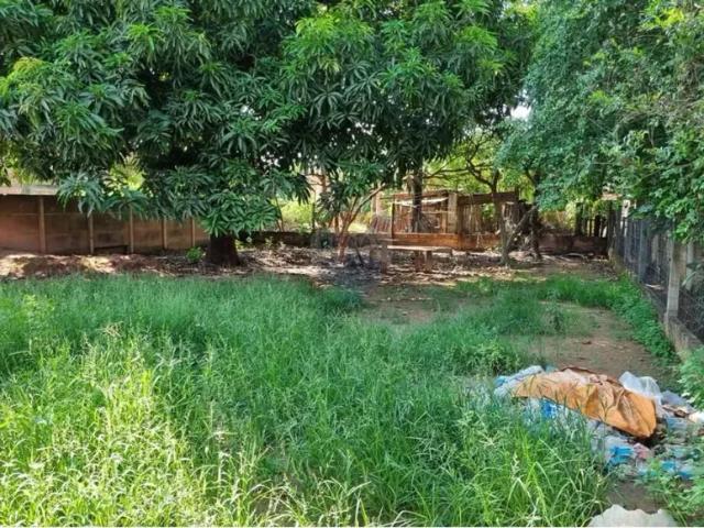 Casa aluguel em Região Geográfica Imediata de Confresa - Vila Rica, Confresa