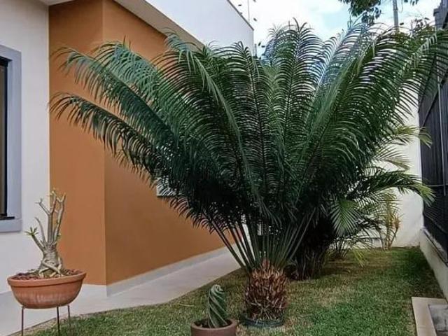 Casa venda em Região Geográfica Imediata de Maringá, Maringá