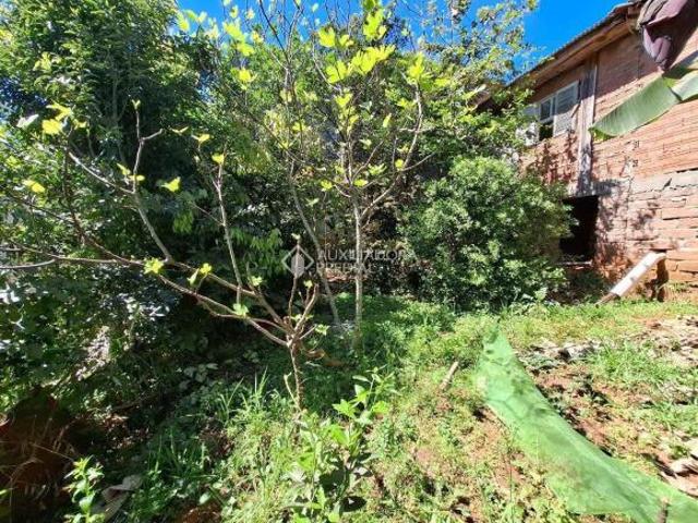 Casa venda em Região Geográfica Imediata de Goiás - Itapuranga, Nova Crixás