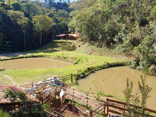 Casa venda em Região Imediata de São José dos Campos, Região Metropolitana do Vale do Paraíba e Litoral Norte
