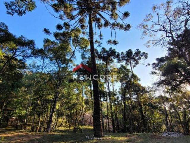 Casa venda em Região Imediata de Taubaté-Pindamonhangaba, Região Metropolitana do Vale do Paraíba e Litoral Norte