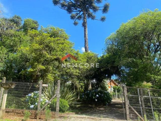 Casa venda em Lajeado Grande, São Francisco de Paula