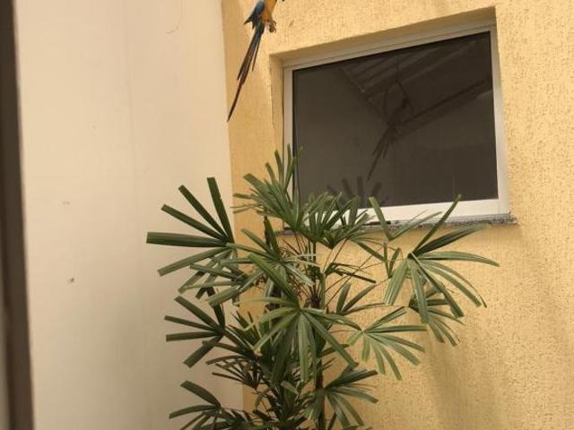 Casa venda em Vila Suissa, Mogi das Cruzes