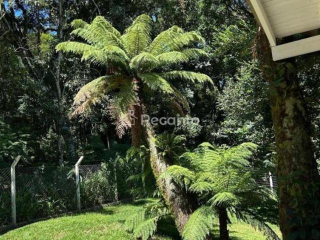 Casa venda em Gramado