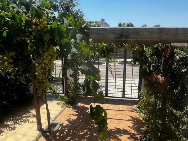 Casa en alquiler en Almenara, Platja d'Almenara - Casablanca