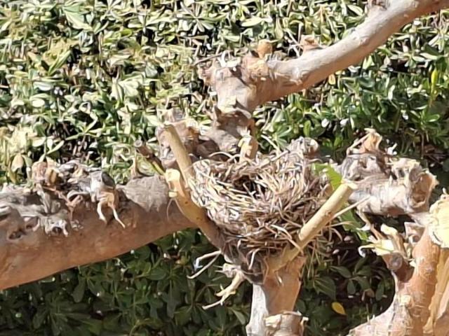 Casa en alquiler en Urbanització la Parreta, la Plana Alta