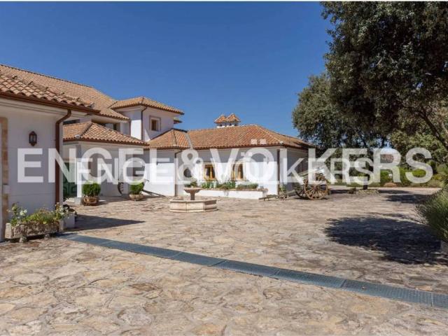 Casa en alquiler en Las Rozas De Madrid, Madrid