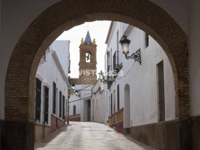Casa en alquiler en Mairena Del Alcor, Andalucía