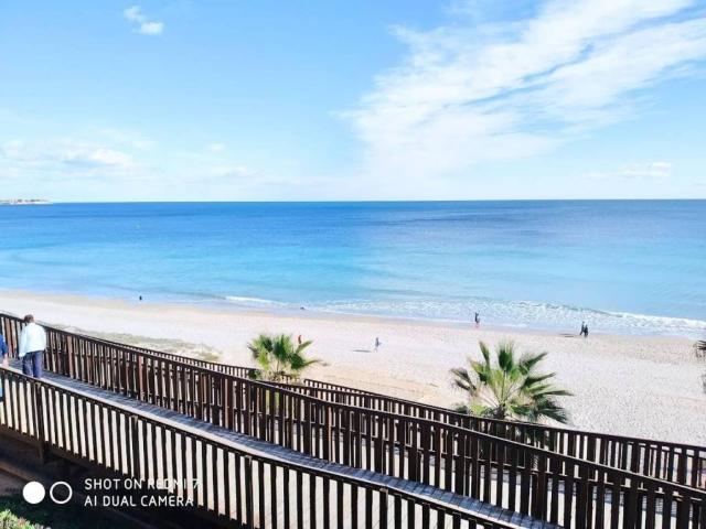 Casa en alquiler en Mil Palmeras, el Baix Segura / La Vega Baja
