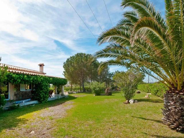 Casa en alquiler en el Vilar, Serra de Tramuntana