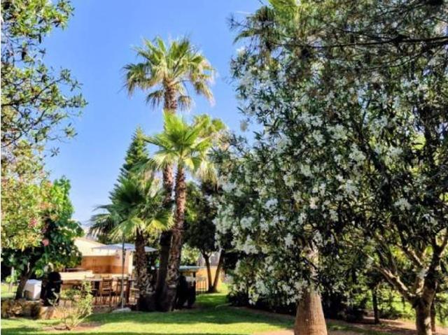 Casa en alquiler en Raiguer, Baleares