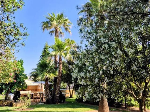 Casa en alquiler en Raiguer, Baleares
