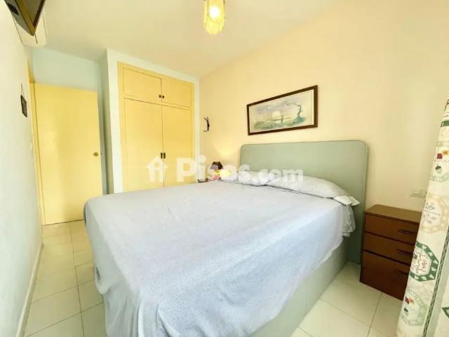 Casa en alquiler en Murcia, Área Metropolitana de Murcia