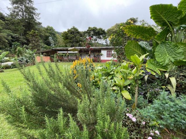Casa en arriendo en Sur, Yumbo