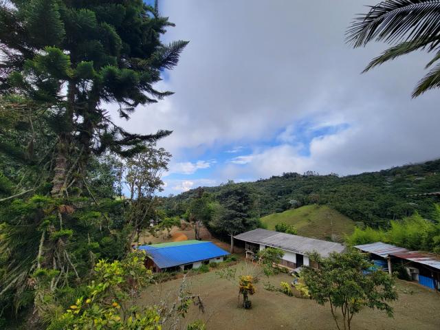 Casa En Arriendo En Cali En Laureles A281763