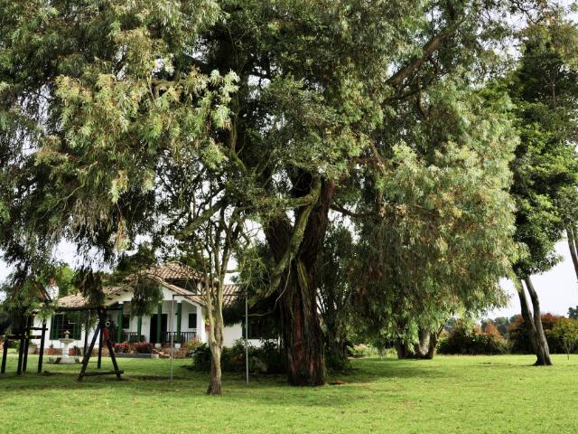 Casa En Arriendo En El Rosal En. A253650