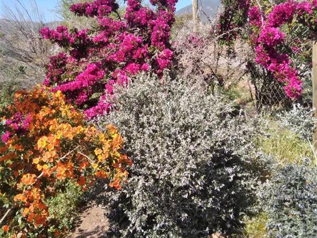 Casa en Arriendo en Hacienda Rinconada de Los Andes