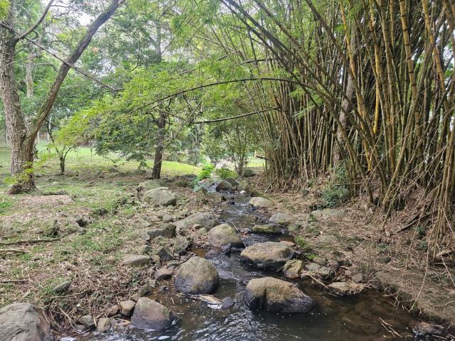 Casa En Arriendo En Junin En. A198411