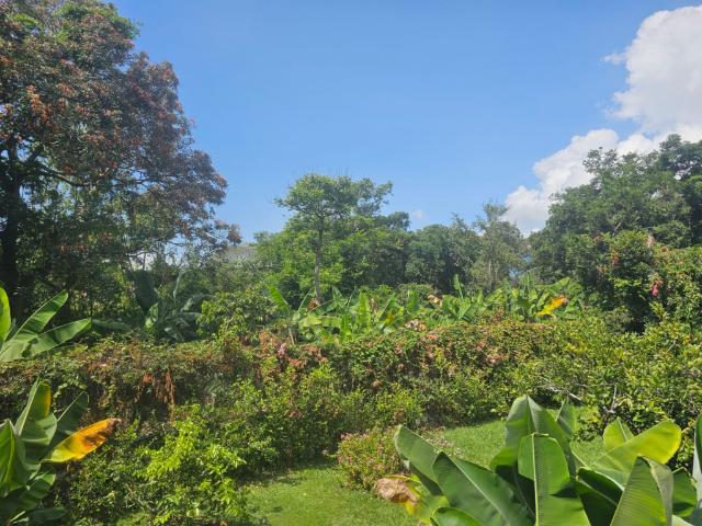 Casa En Arriendo En Junin En. A198411