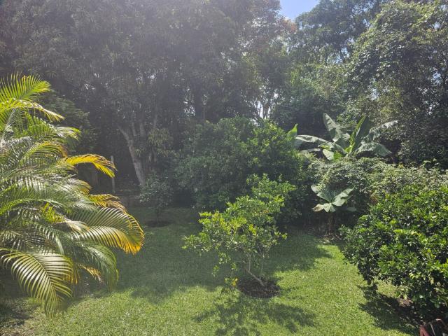 Casa En Arriendo En Junin En. A198411