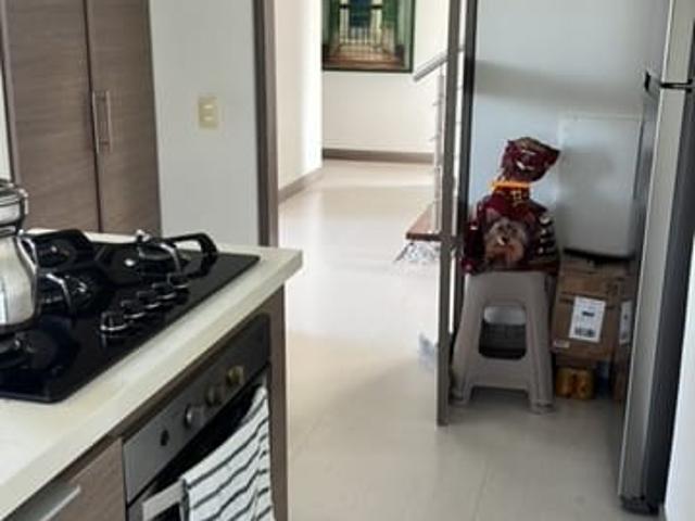 Casa En Arriendo En Villamaria A87476