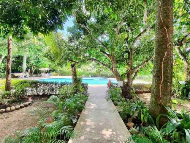 Casa en arriendo en Nariño