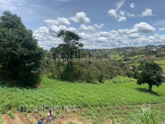 Casa en arriendo en Antioquia, El Oro