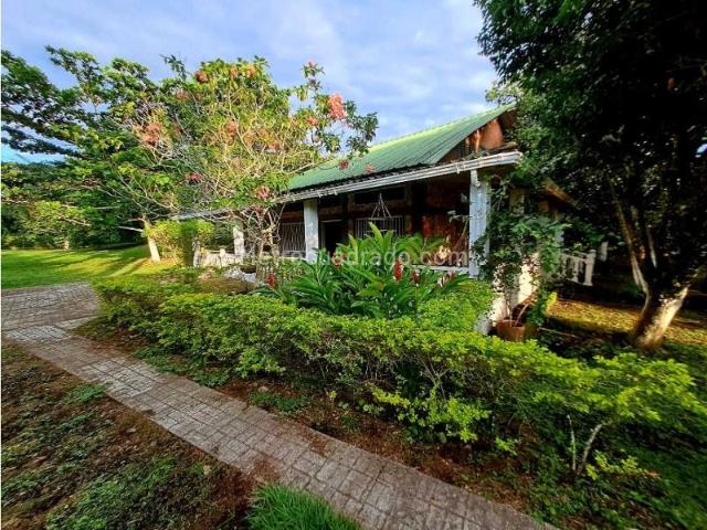 Casa en arriendo en Tolima