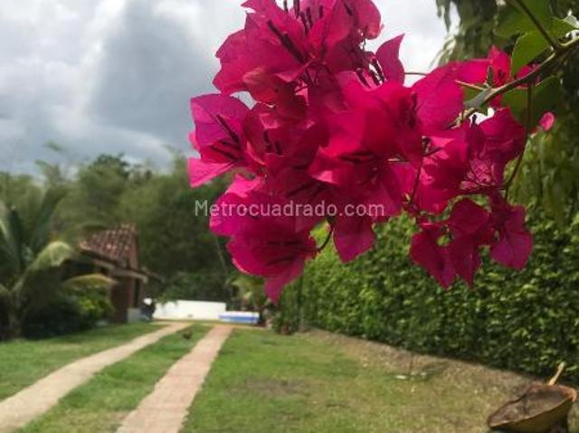 Casa en arriendo en Cundinamarca