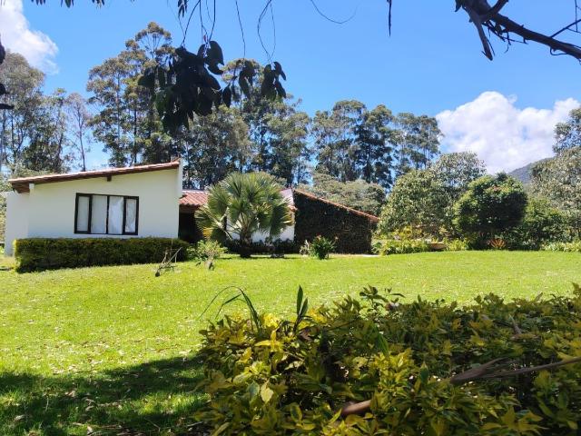 Casa en arriendo en Antioquia, El Carmen De Viboral