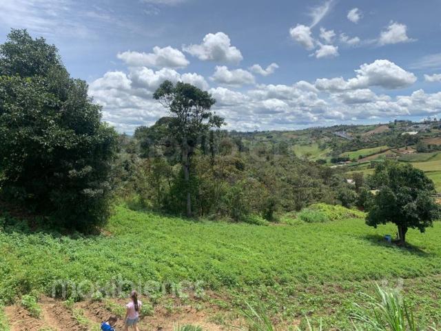 Casa en arriendo en Antioquia, El Oro