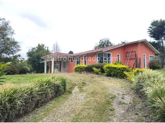 Casa en arriendo en Salento, Fría