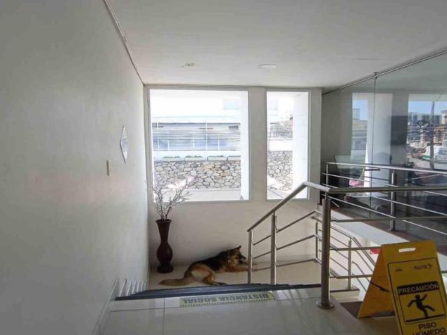 Casa en arriendo en Caldas, Manizales