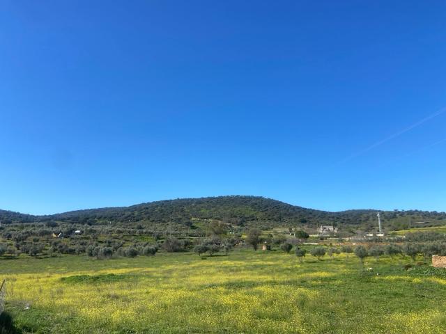 Casa en venta en Belmez, Doña Rama