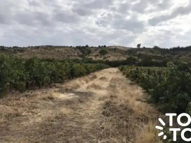 Casa en venta en Cauquenes, Maule