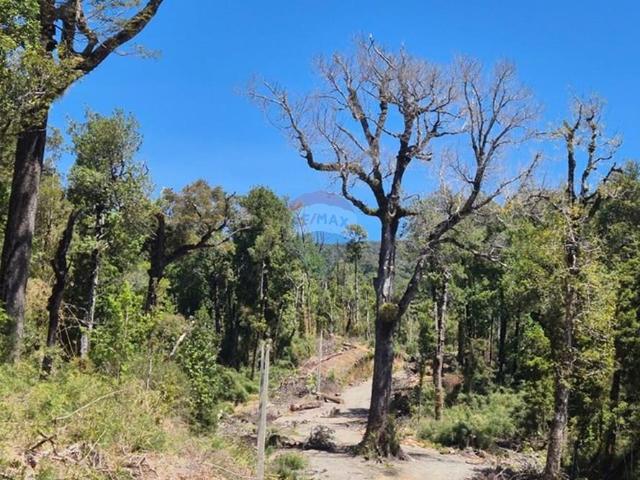 Terreno en venta en Chonchi, Los Lagos