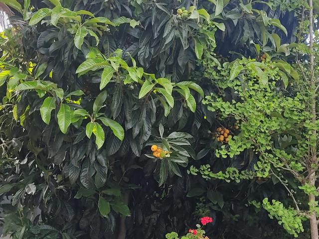 Casa en Constitución