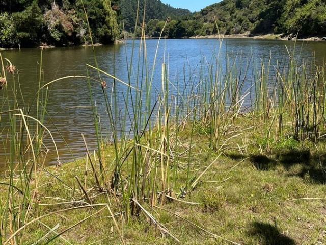 Casa en Constitución