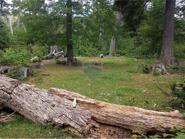 Terreno en venta en Curarrehue, La Araucanía