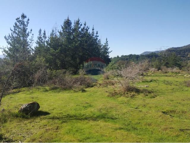 Casa en Curicó