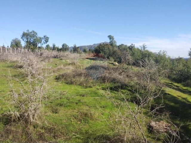 Casa en Curicó