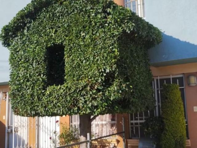 Casa en renta en Cañada Morelos, Puebla