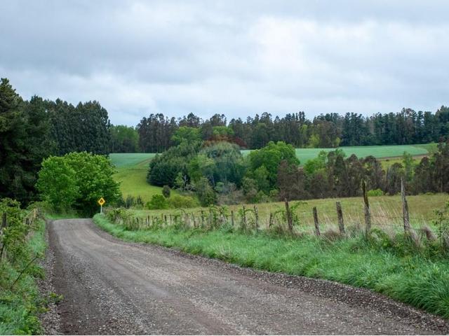 Casa en venta en Aisén, Aysén Del General Carlos Ibáñez Del Campo